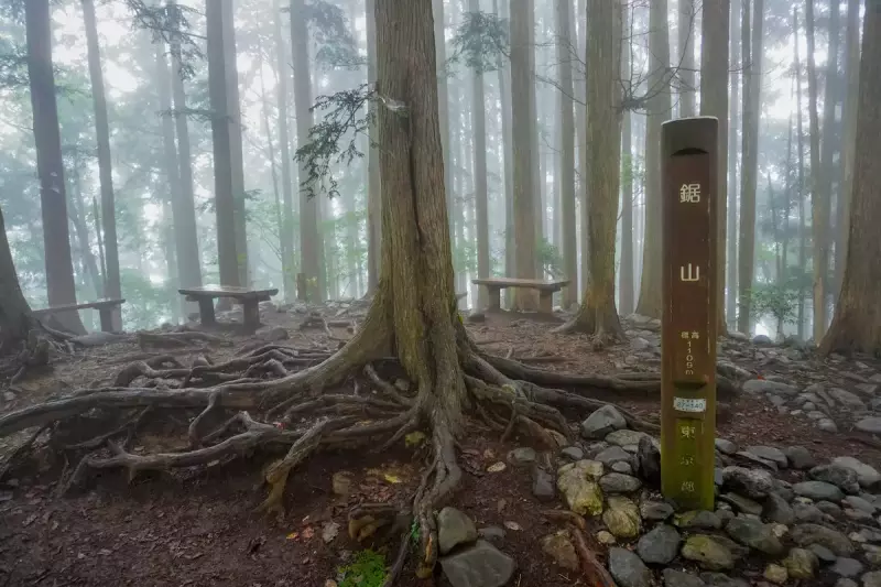 登山口は駅から5分!鋸山の大自然を味わいつくす難易度別ルート紹介|ルート紹介から探す|登山・トレラン・山スキーマガジン「山旅旅」