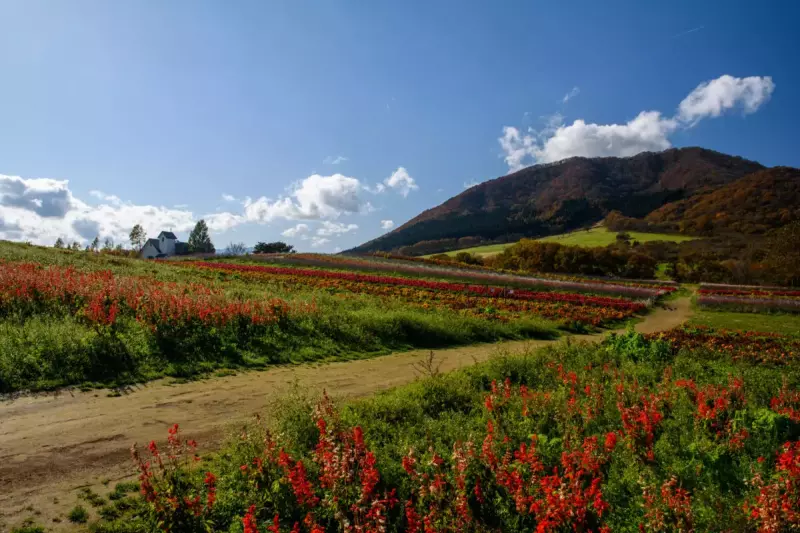 やくらいガーデン ふるるの丘と薬莱山(宮城県)
薬莱山 登山