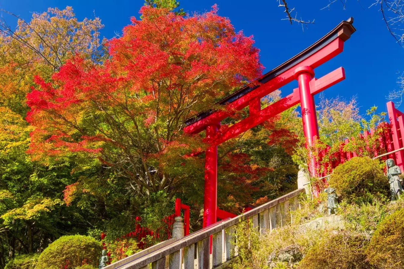 高尾山へ紅葉を見に行こう!2023年の見頃予想やスポット、注意点を解説