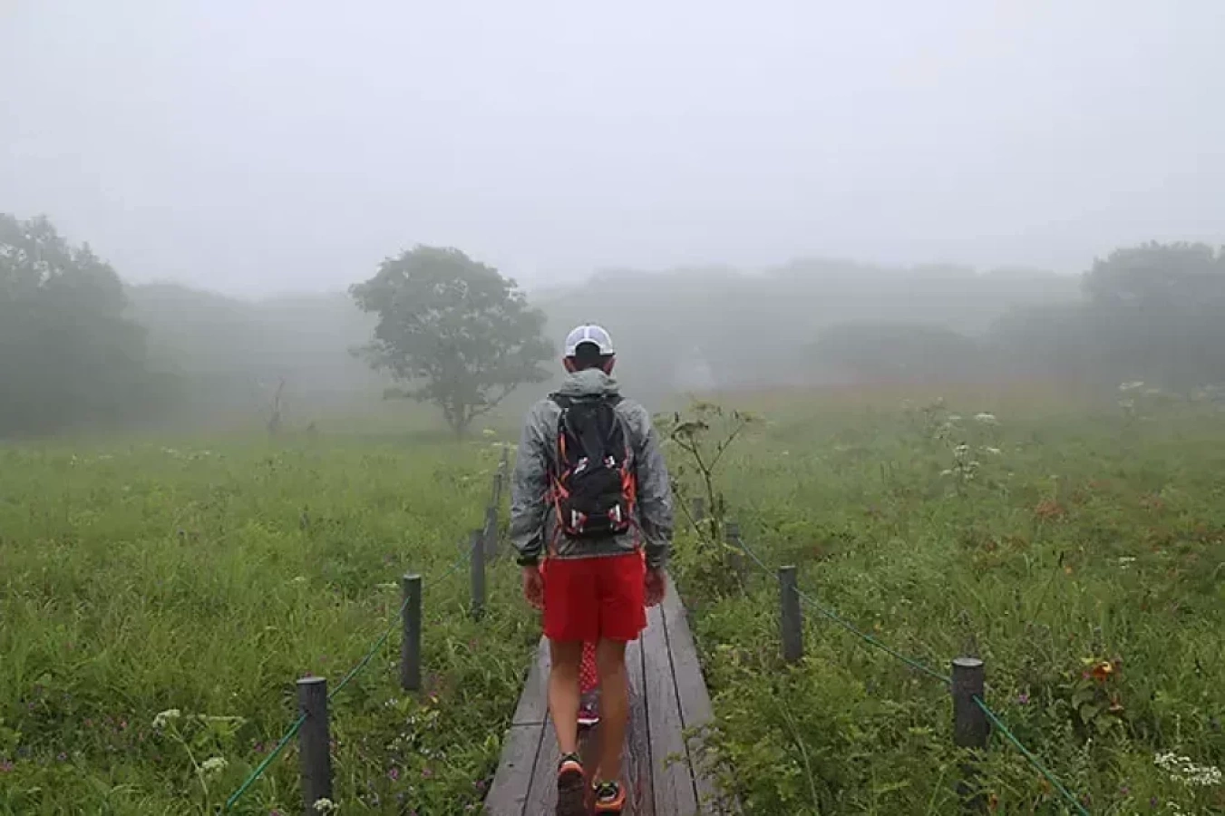 【2026年】夏山登山・縦走を快適にする軽量レインウェアおすすめ10選!