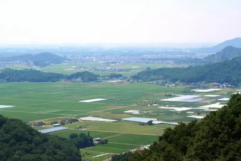 太平山から眺める田園風景