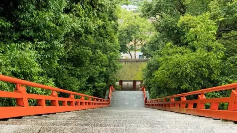 初夏の大分で田植えから始める酒作り体験