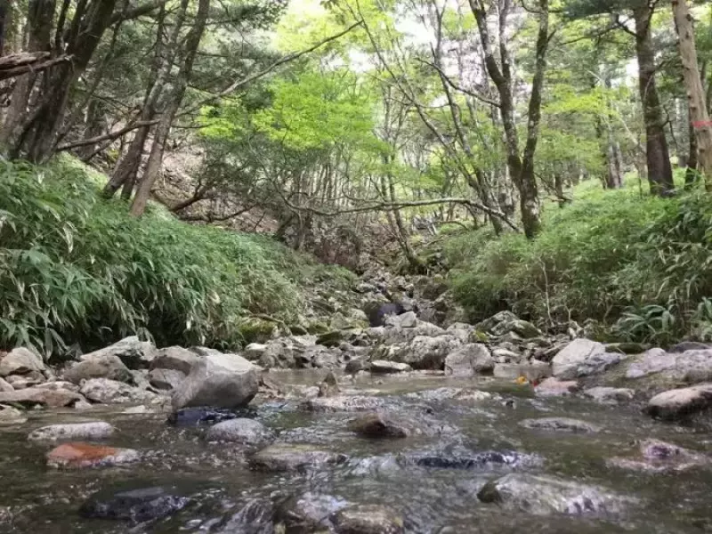 吉野山の川
