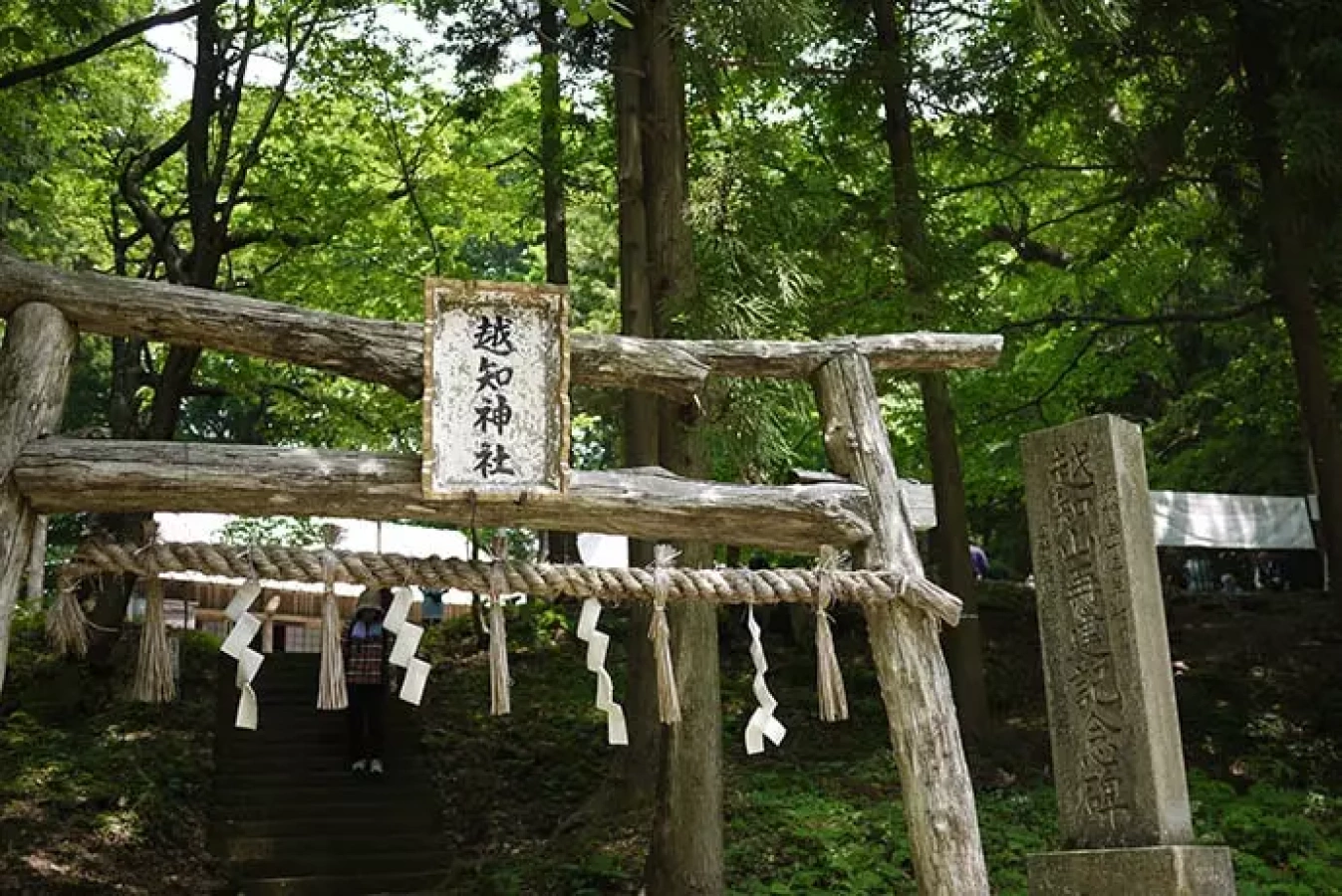 泰澄大師白山開山1300年記念!第29回越知山泰澄トレイル開催