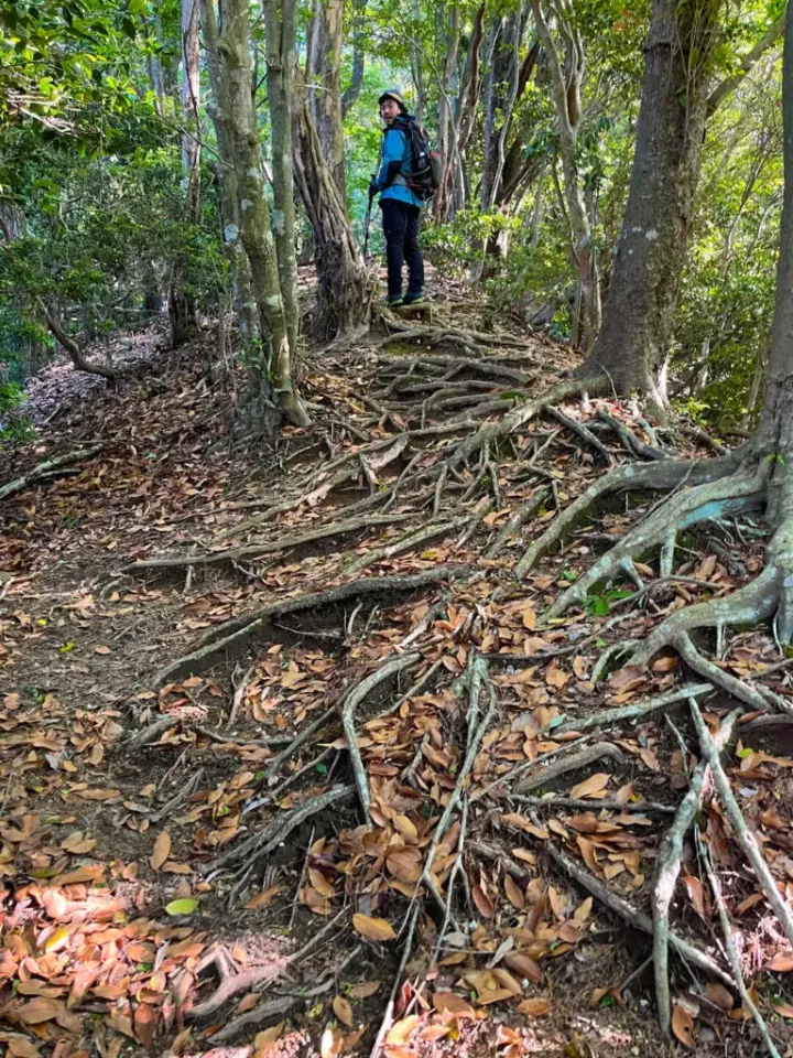 中尾根を歩きはじめる