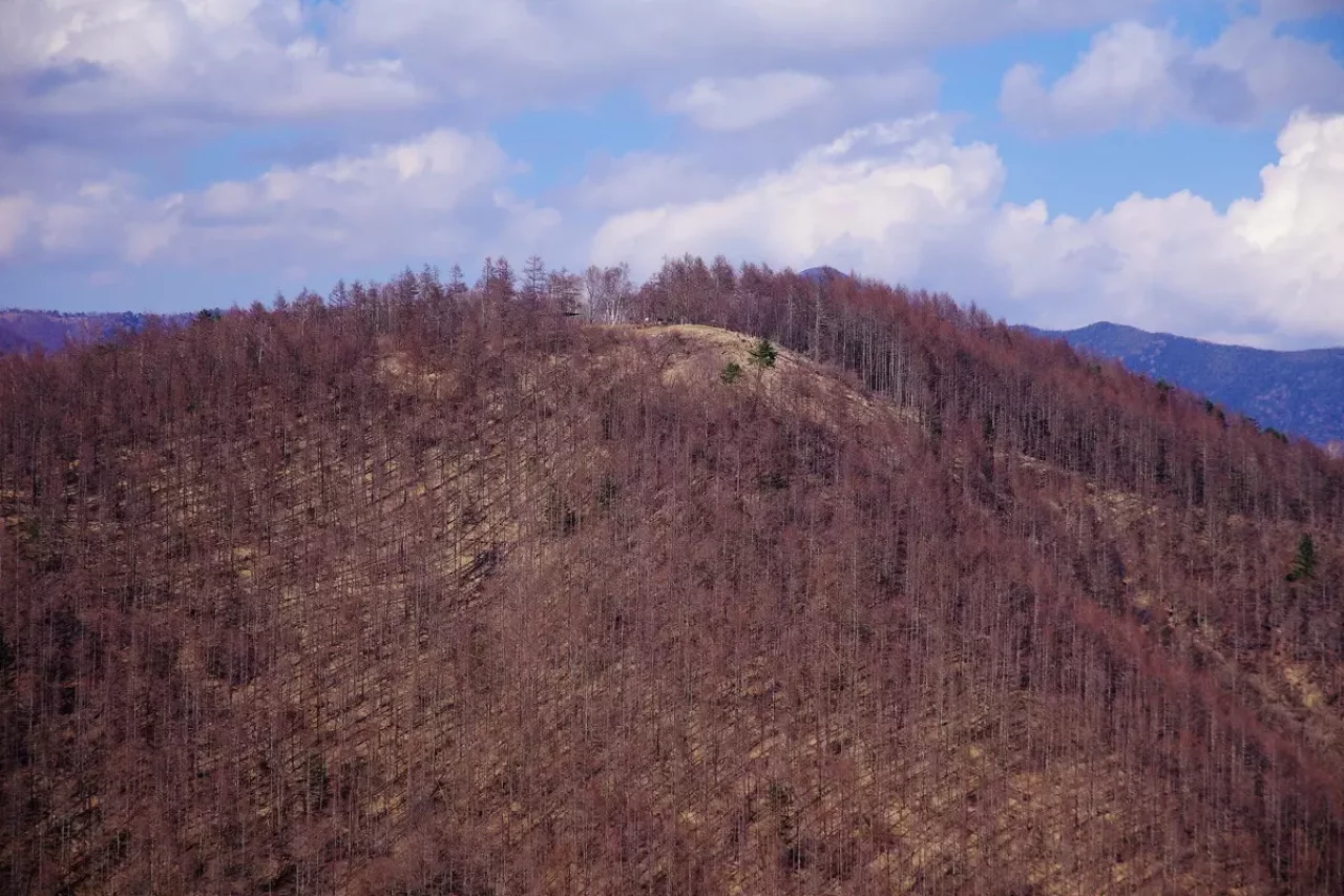 焼山峠から登る小楢山