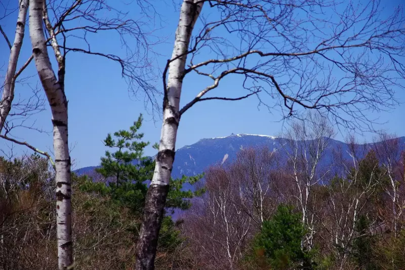 小楢山の山頂
