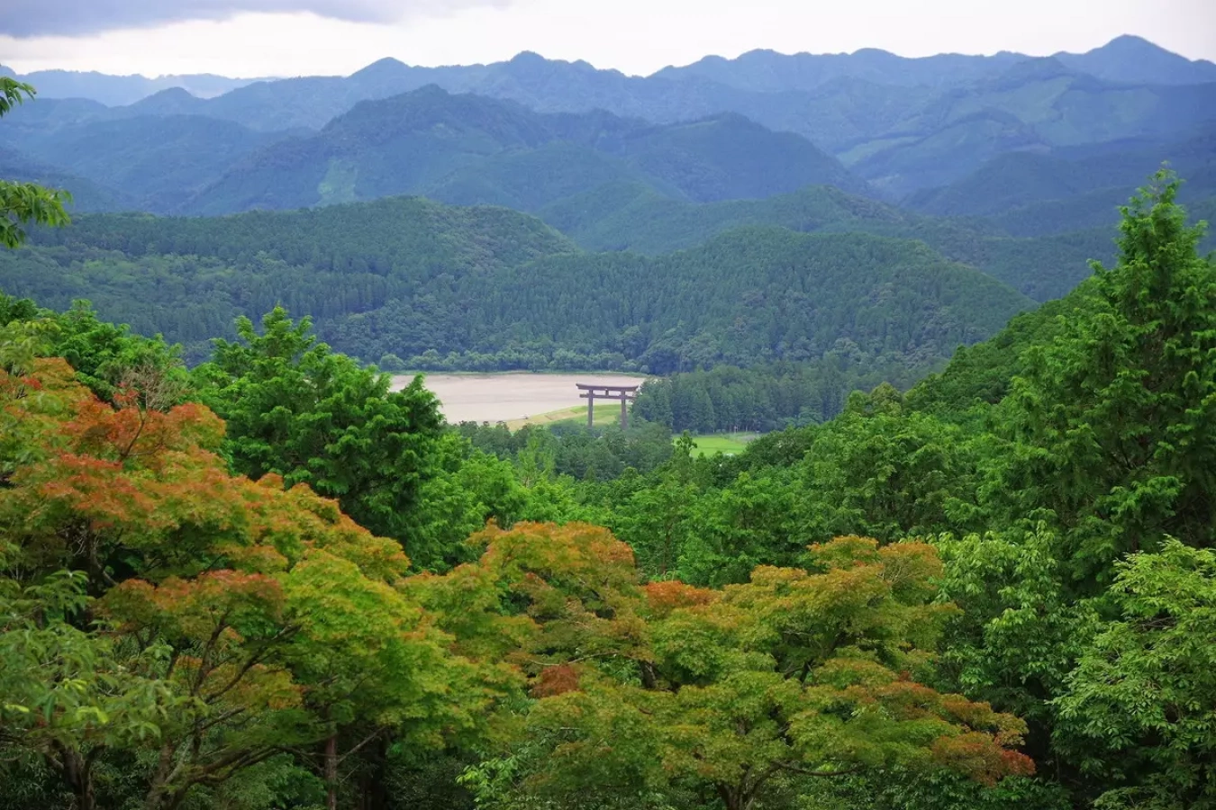 テーマで歩く山の旅 #08 【前編】熊野古道・中辺路×思考と身心をととのえる