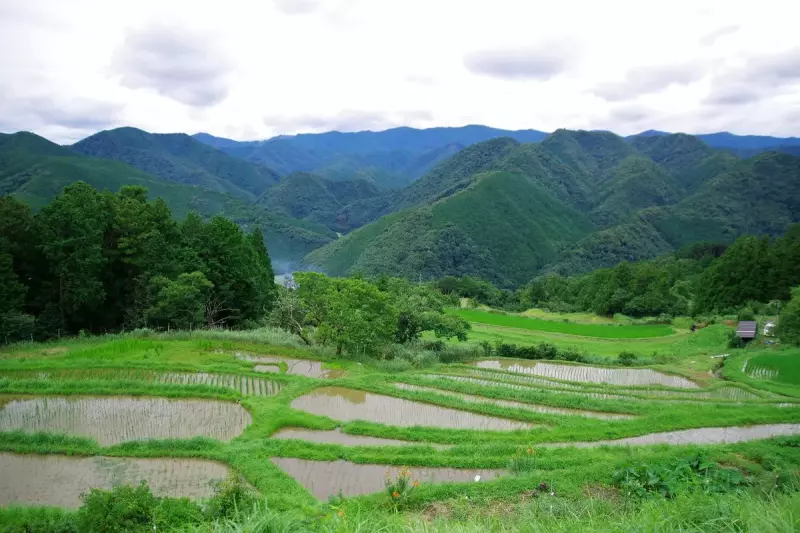 熊野古道の道標3