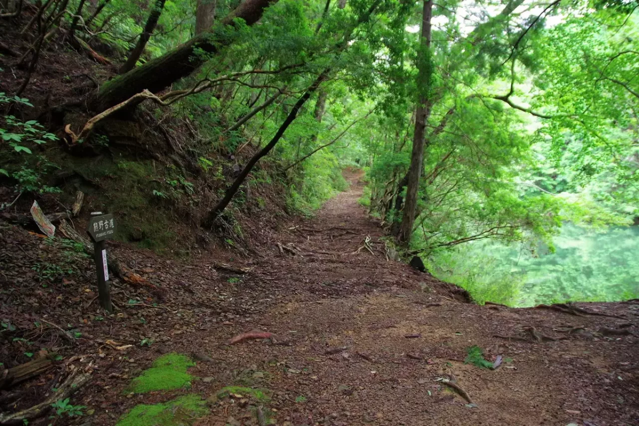 熊野古道の道標4