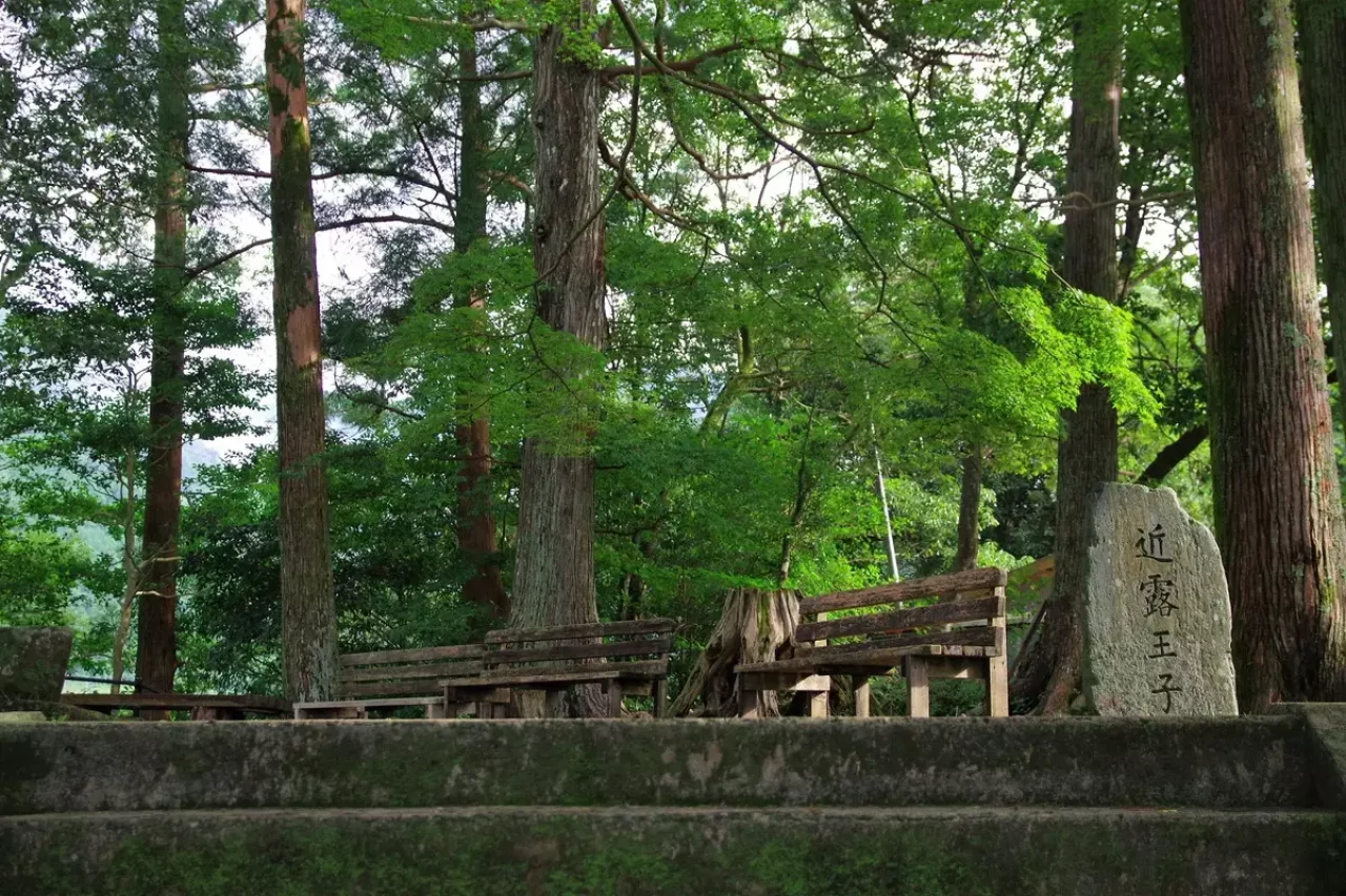 継桜王子のある野中