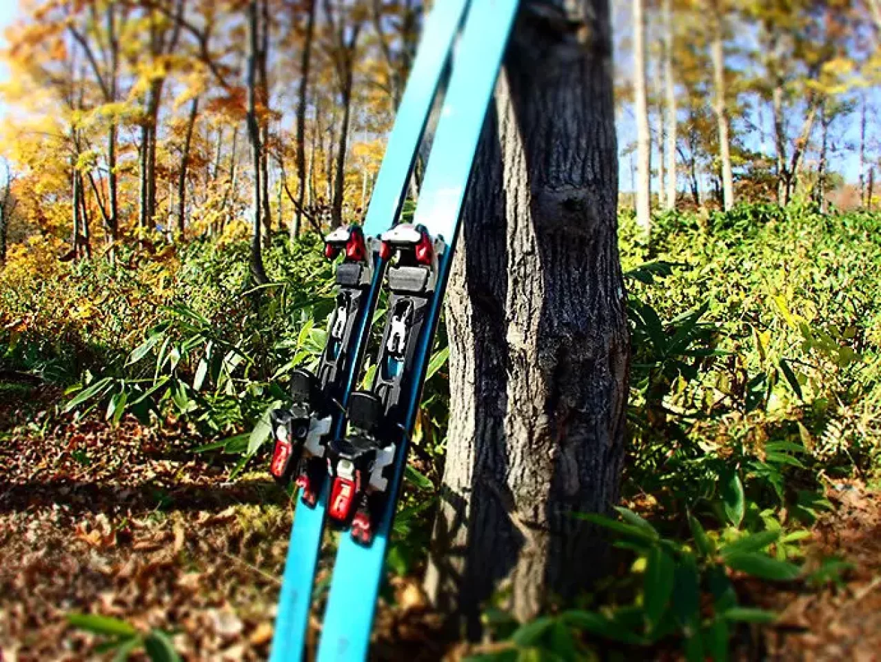 Vector Glide COLDOVA