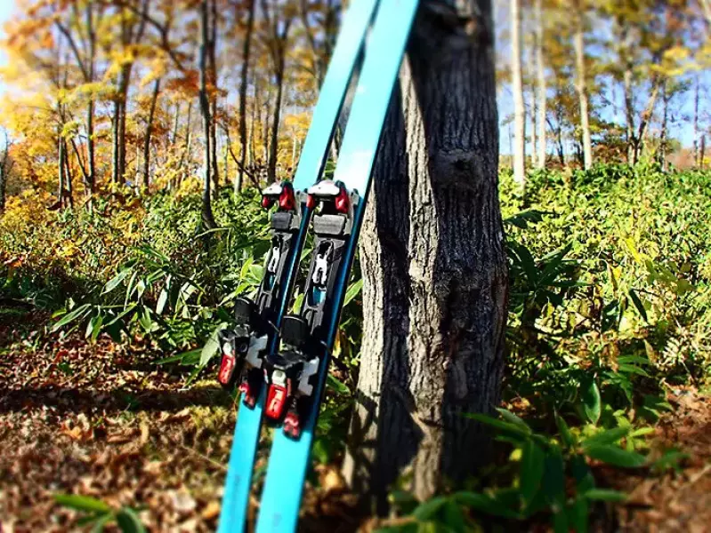 Vector Glide COLDOVA