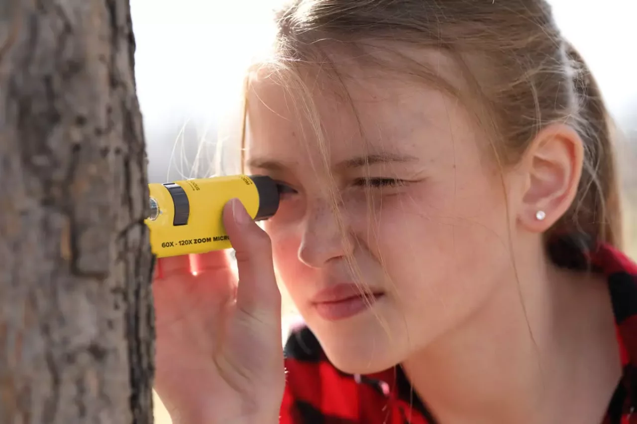 自然の造形美が楽しめるポケットマイクロスコープ