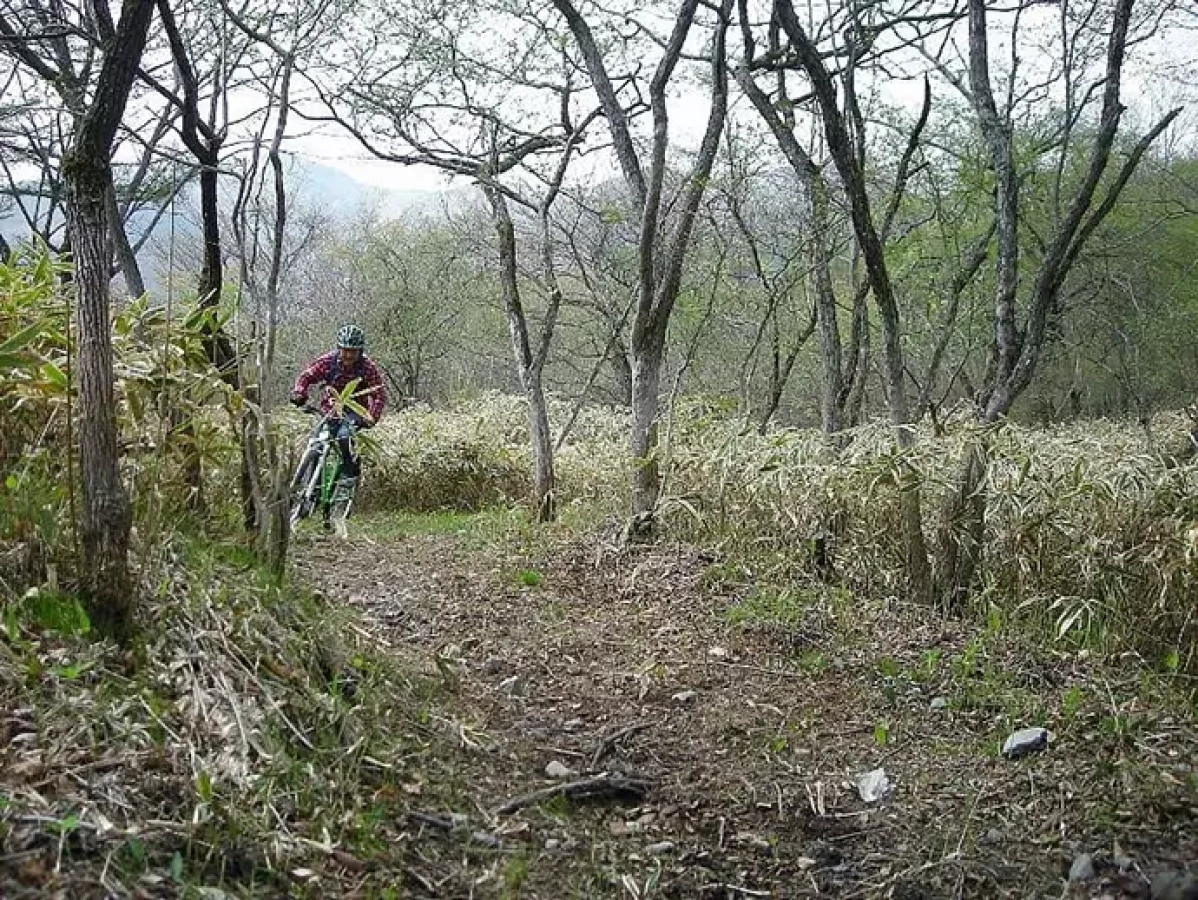 日光・霧降高原MTBトレイルツアー