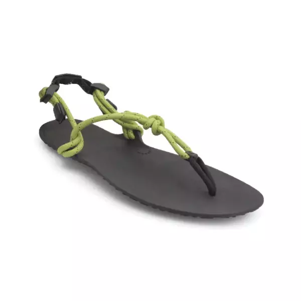 ゼロシューズ ジェネシス