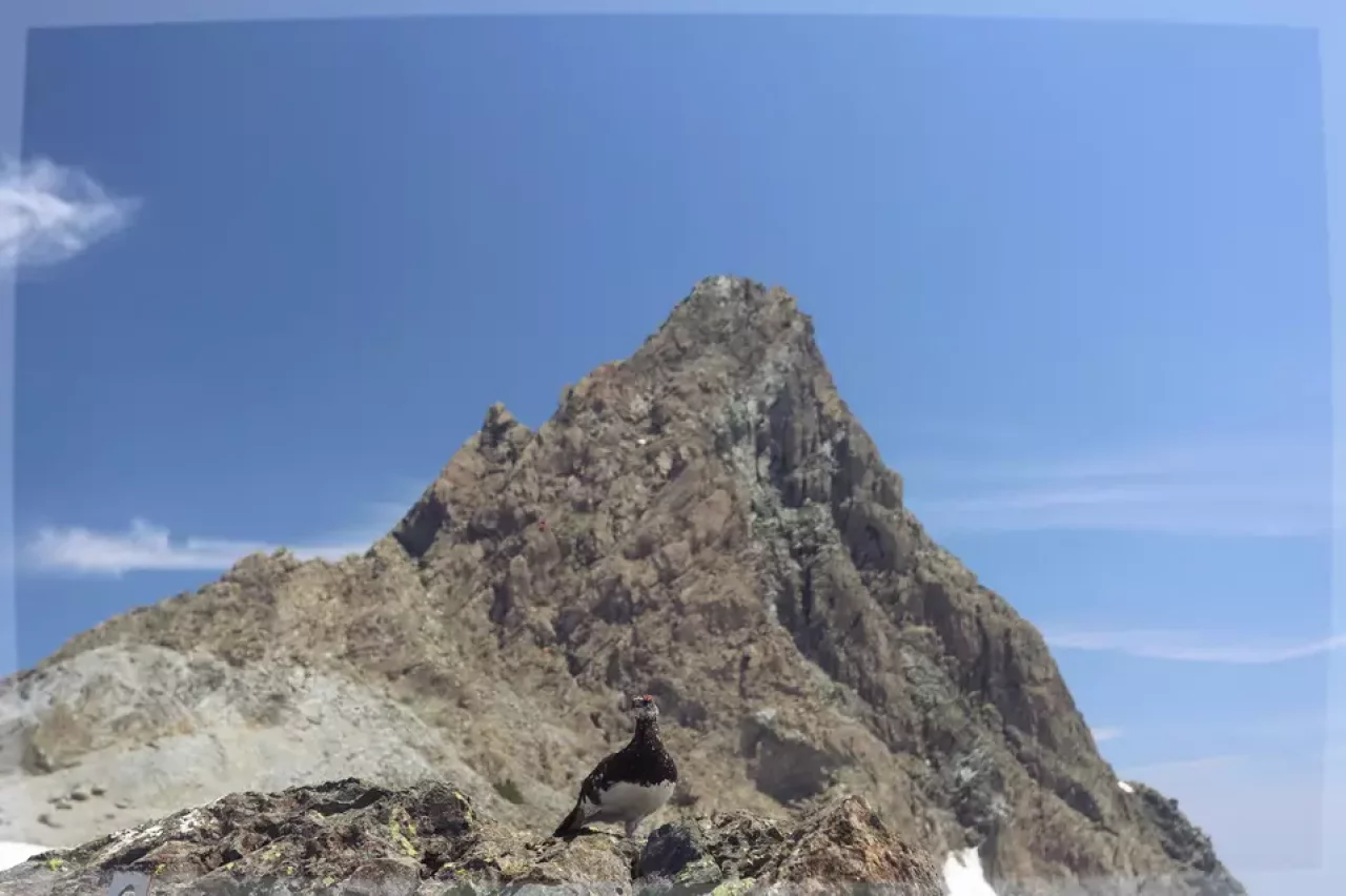 10座のピークを制覇する裏銀座ルート−高瀬ダム登山口を活用