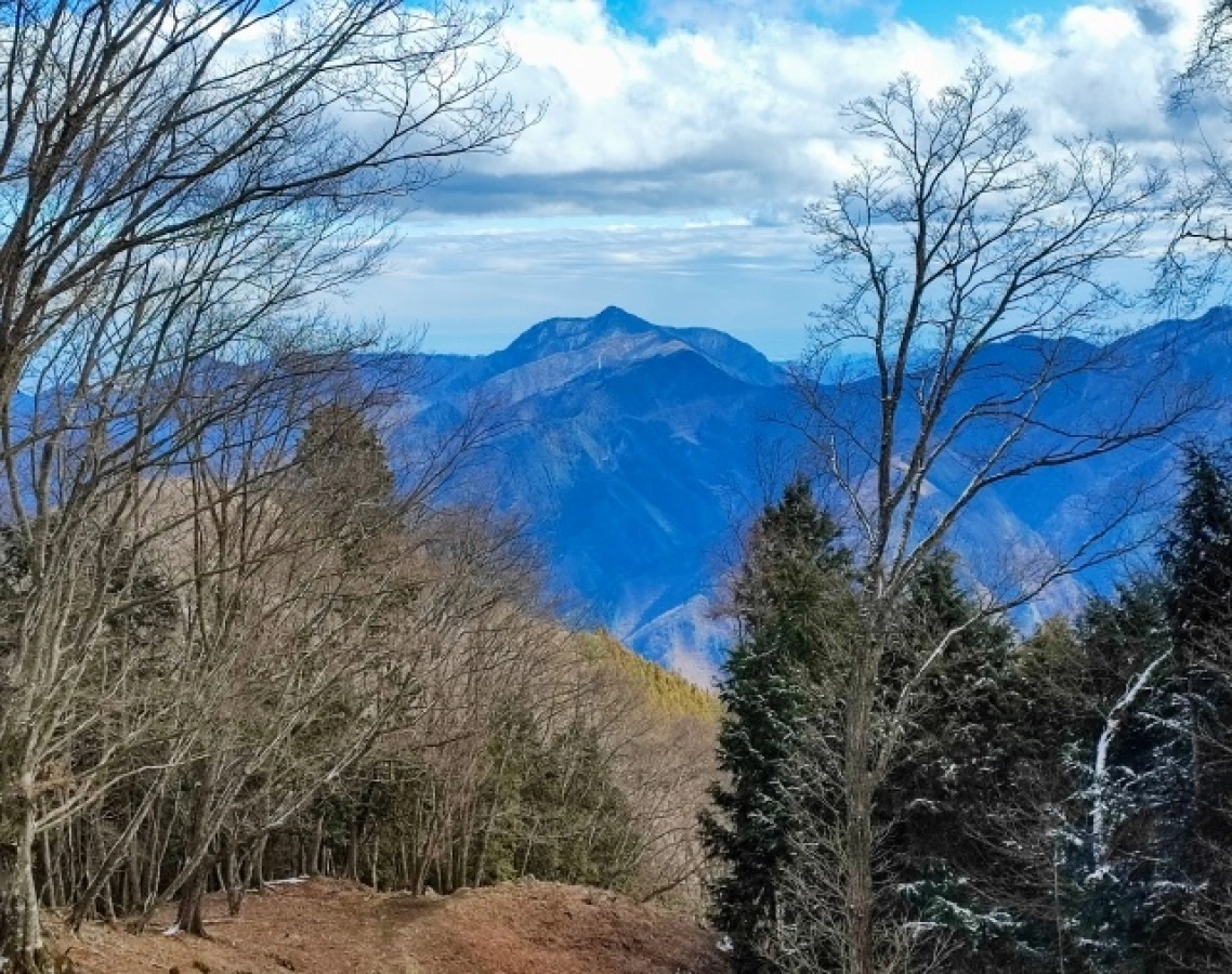 【東京都】おすすめの低山13選!初心者から中上級者向けまで日帰りできる山を紹介