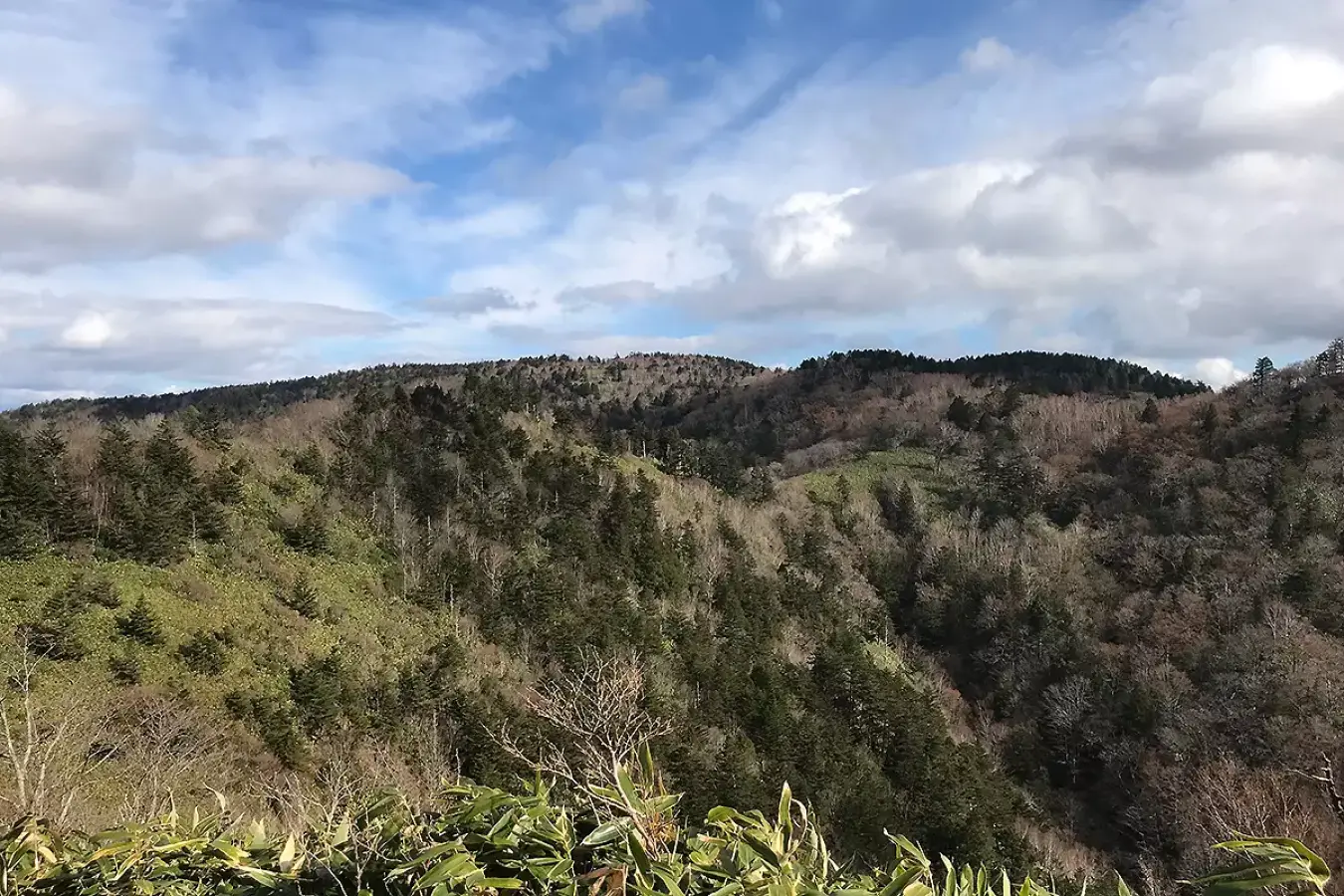 位山