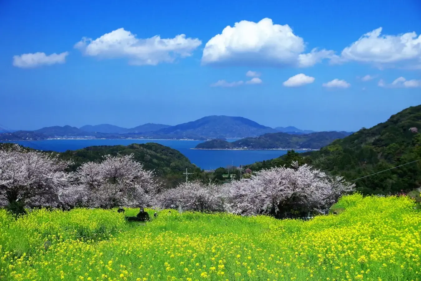 二丈岳