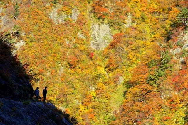 緊急提言!越後の下の廊下「裏巻機渓谷」& 知る人ぞ知る「古峰山」1日 緊急提言!越後の下の廊下「裏巻機渓谷」& 知る人ぞ知る「古峰山」1日