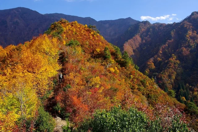 緊急提言!越後の下の廊下「裏巻機渓谷」& 知る人ぞ知る「古峰山」1日 緊急提言!越後の下の廊下「裏巻機渓谷」& 知る人ぞ知る「古峰山」1日